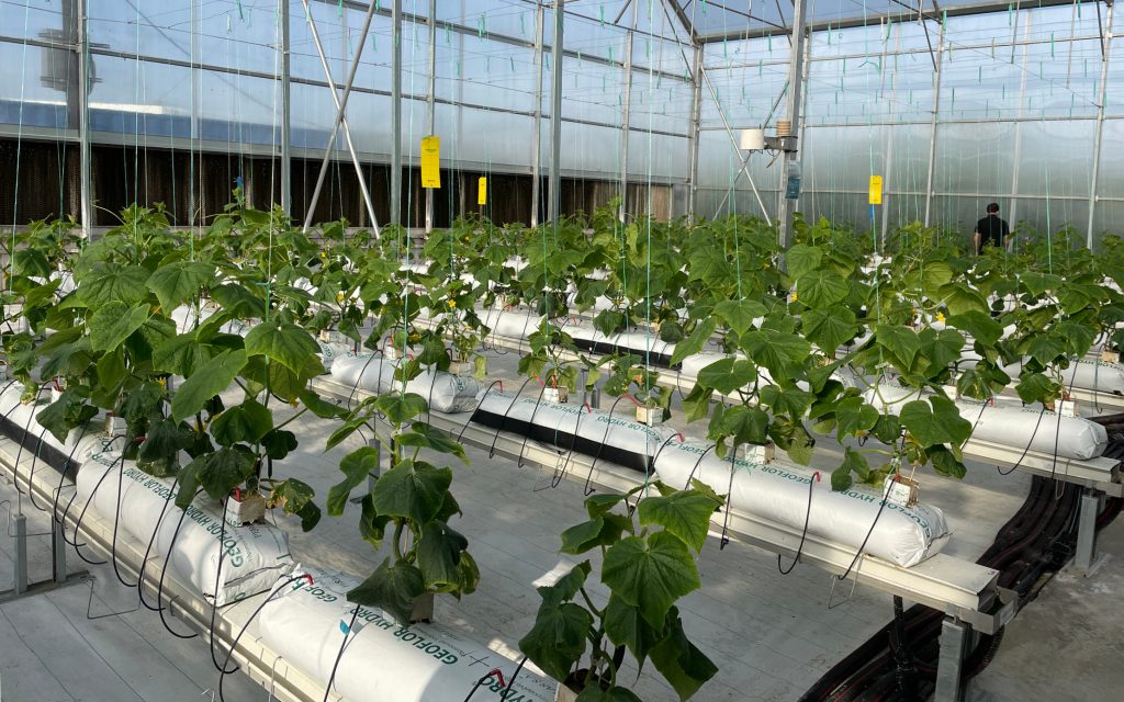 2024 webbinar | PestNu