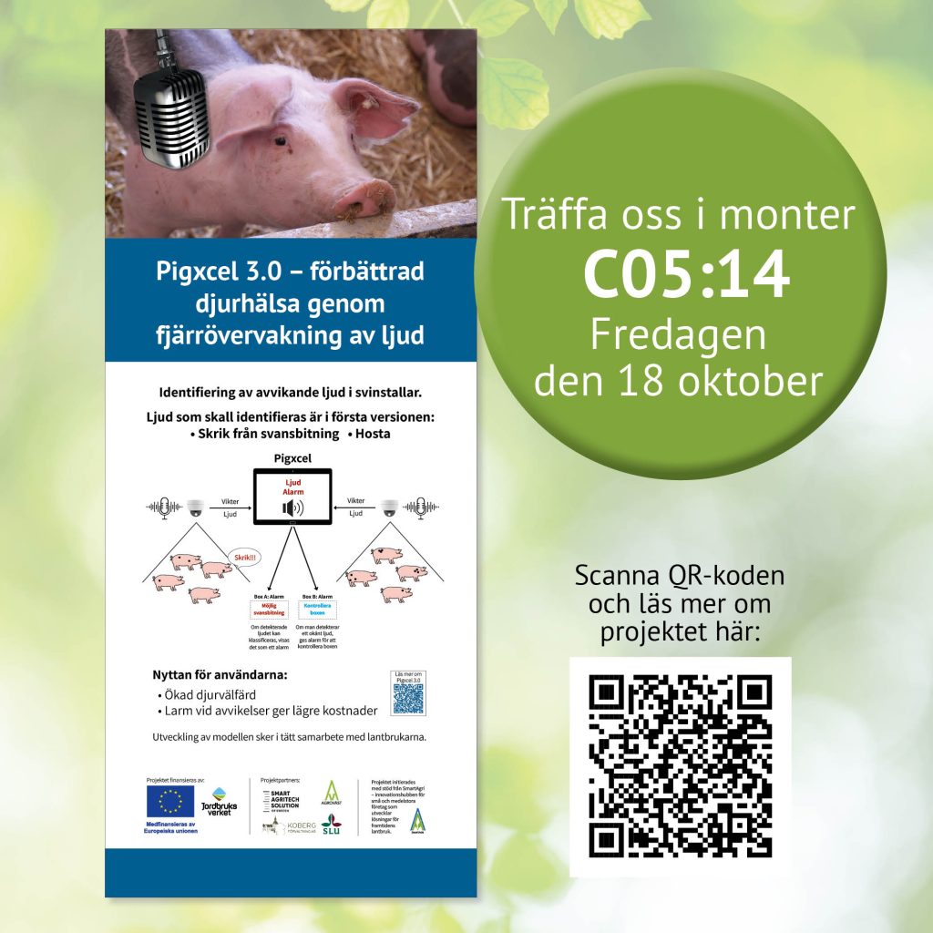 Projekt Pigxcel 3.0 - roll-up | Agroväst