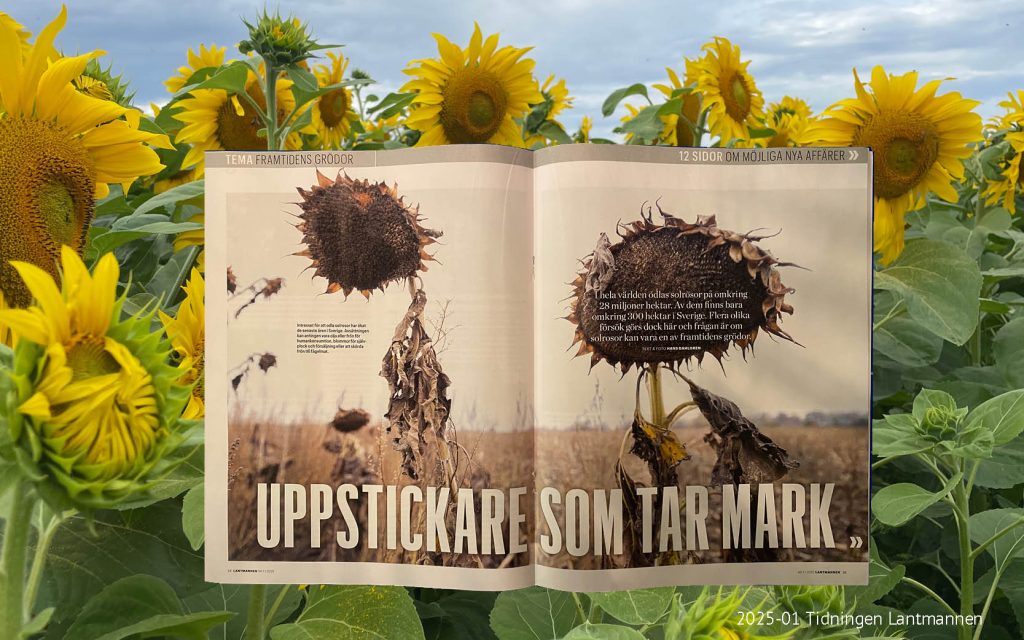 ROLIS artikel Lantmannen | Agroväst