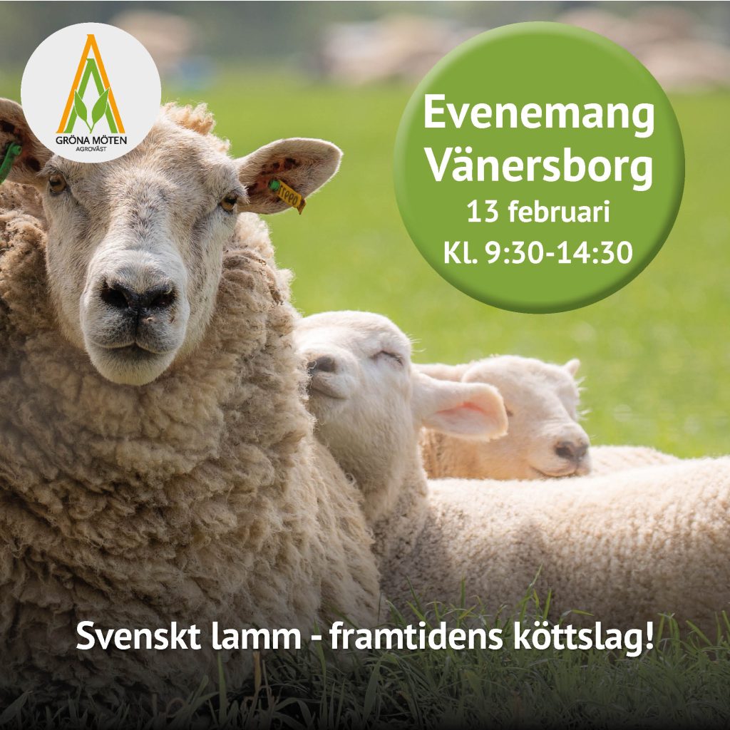 Event lamm | Agroväst