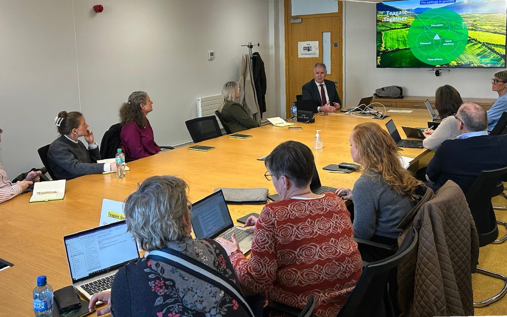 Team under Irlandsdagar | Agroväst