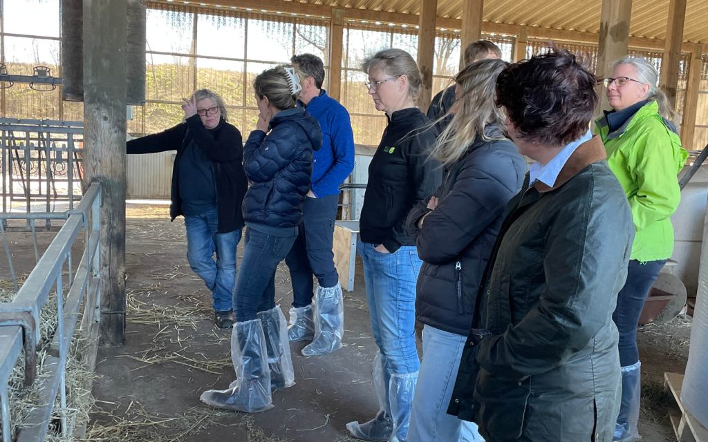 Mjölkprogrammet | Agroväst