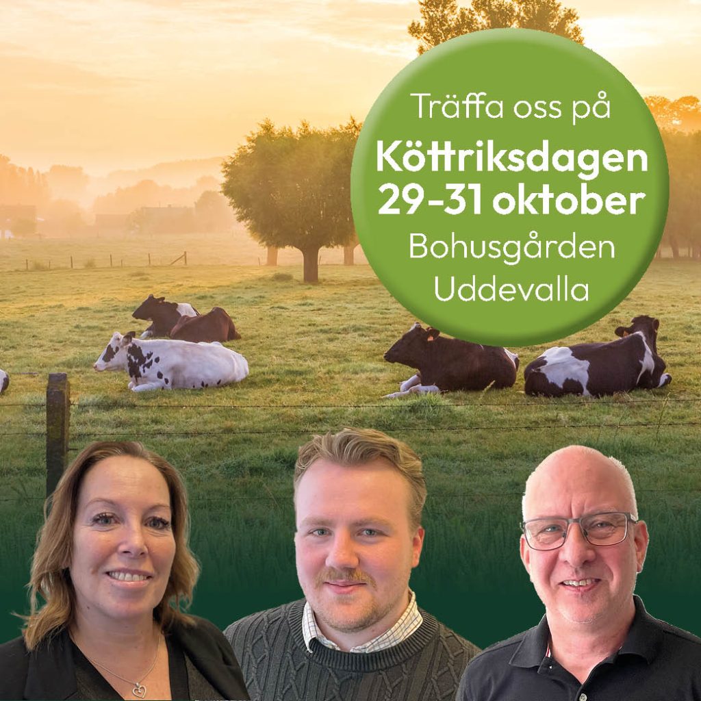 2025-10 Köttriksdagen 2025