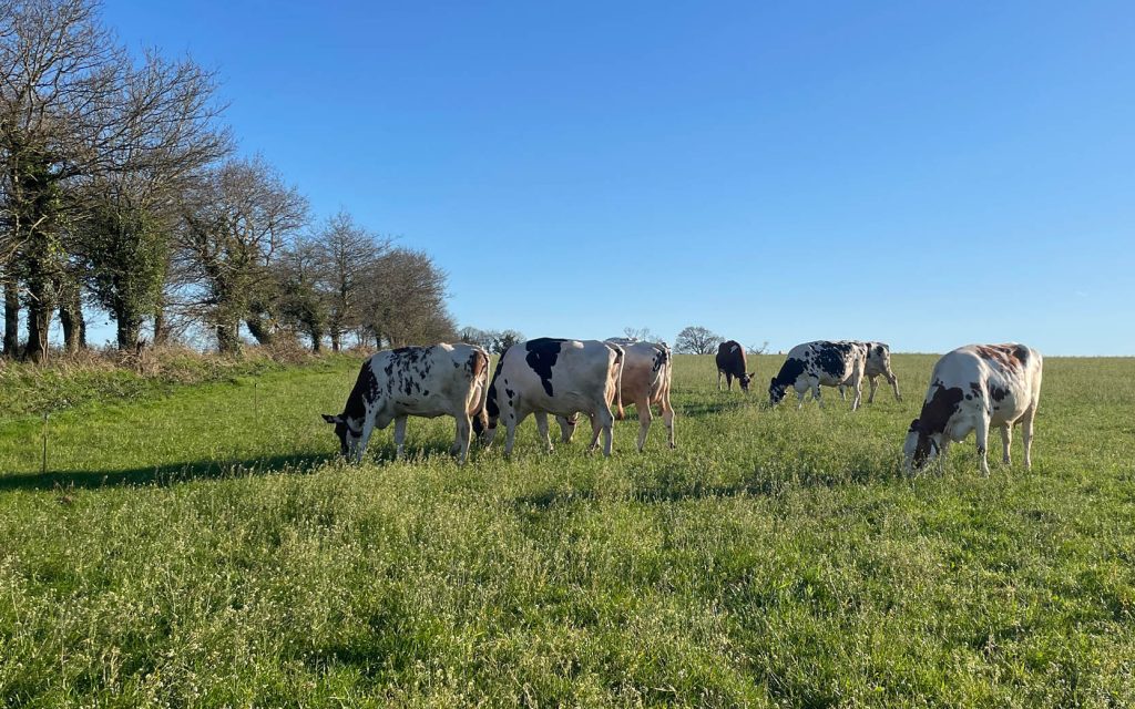 Div Grass Partnermöte 2026 i Bretagne | Agroväst