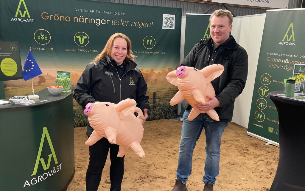 Mässa Den Goda Jorden Falköping 2026