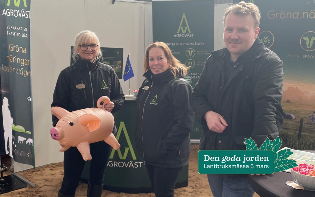 Mässa Den Goda Jorden Falköping 2026