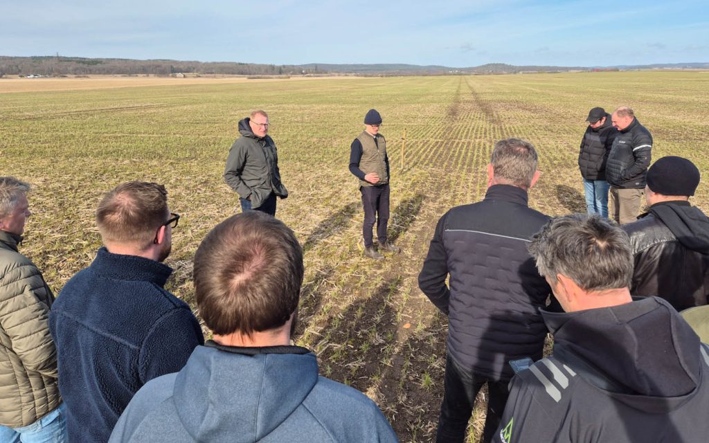 Fältvandring hos Philip på Heagård - foto T Johansson Agroväst