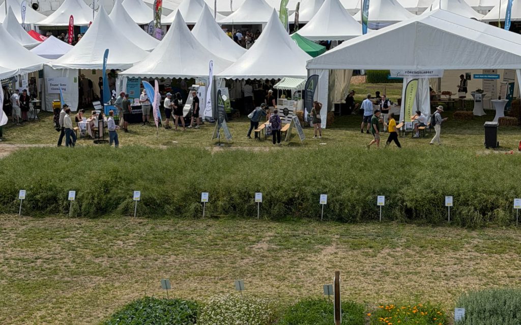 2026-06 Borgeby Fältdagar | Agroväst