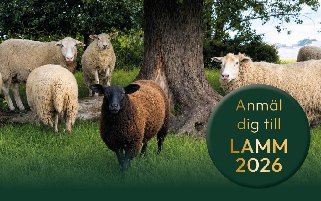 anmälan Lamm 2026