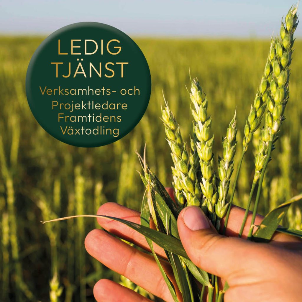 Ny tjänst Agroväst - FoI Växtodling